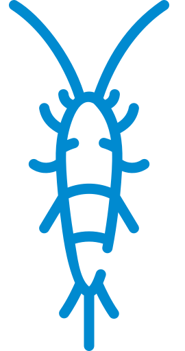 Silverfish Control icon