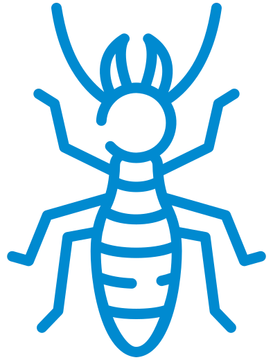 Termite Control icon