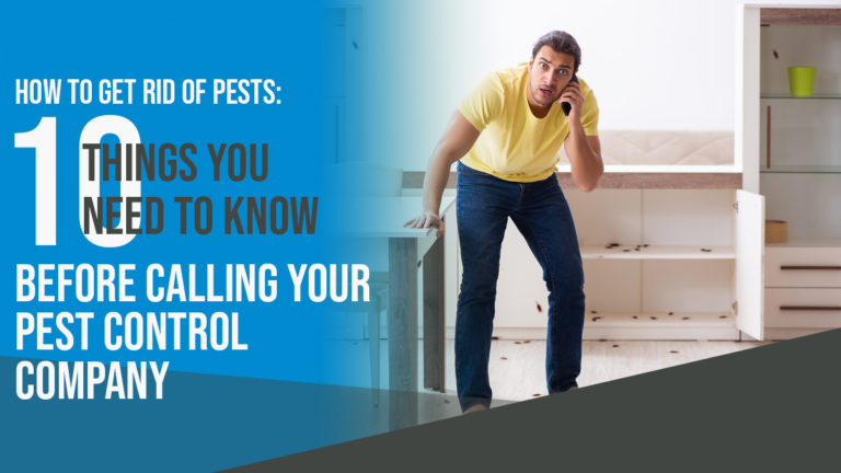 How to Get Rid of Pests: 10 Things You Need to Know Before Calling Your Pest Control Company