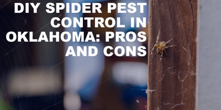 DIY Spider Pest Control in Oklahoma: Pros and Cons