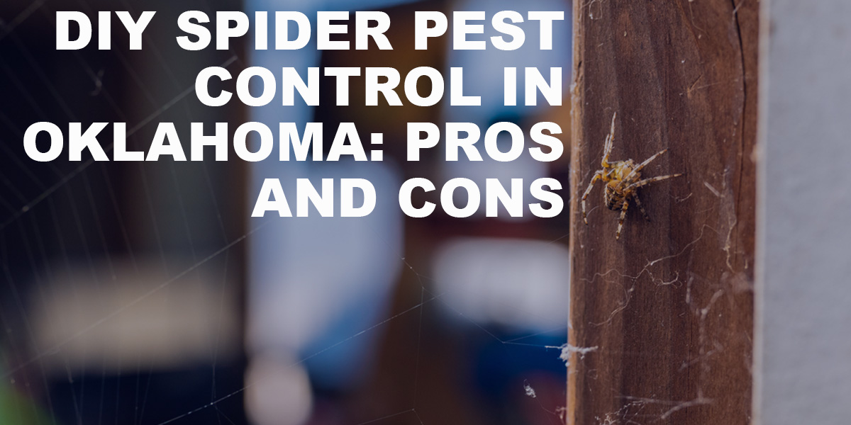 DIY-Spider-Pest-Control-in-Oklahoma-Pros-and-Cons