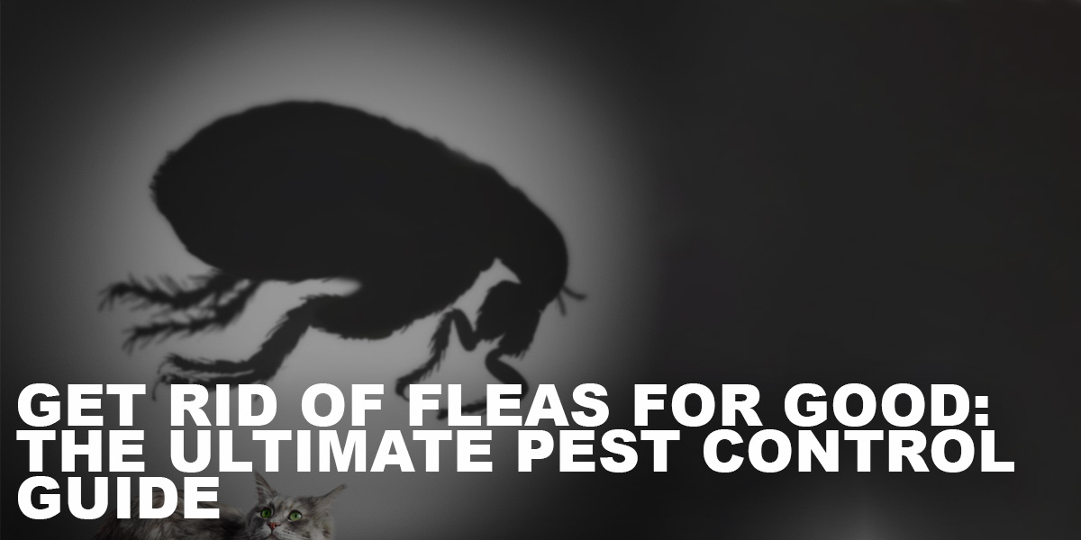 Get-Rid-of-Fleas-for-Good-The-Ultimate-Pest-Control-Guide