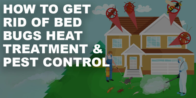 How To Get Rid of Bed Bugs Heat Treatment & Pest Control