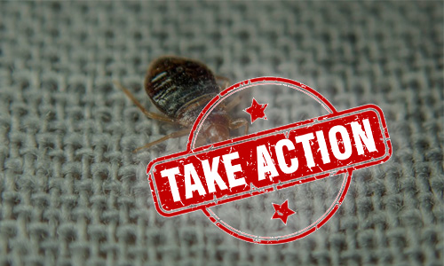 Its-time-to-take-action