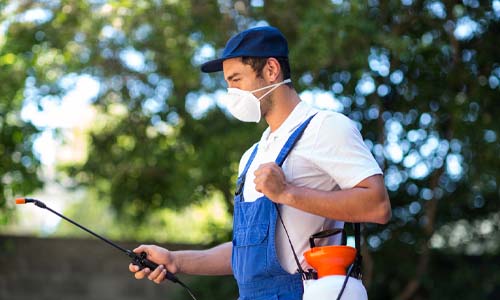 The-Benefits-of-Professional-Moth-Control-Services-