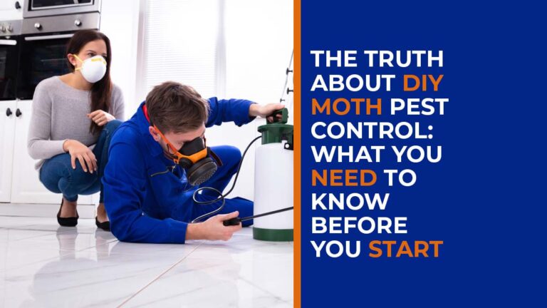 The Truth About DIY Moth Pest Control: What You Need to Know Before You Start