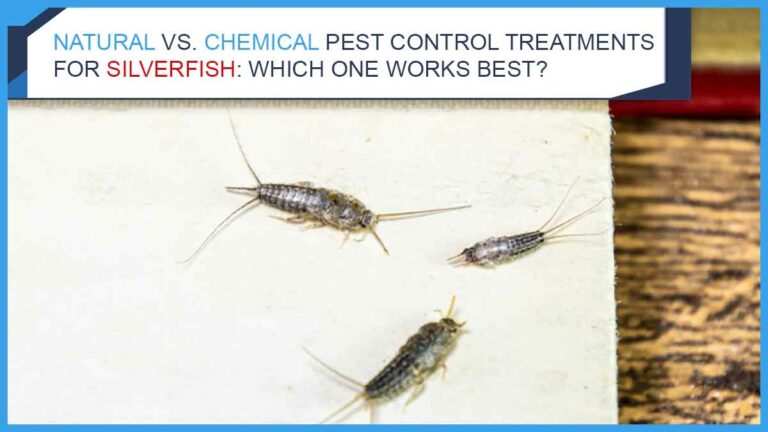Natural vs Chemical Pest Control Treatments for Silverfish: Which One Works Best?