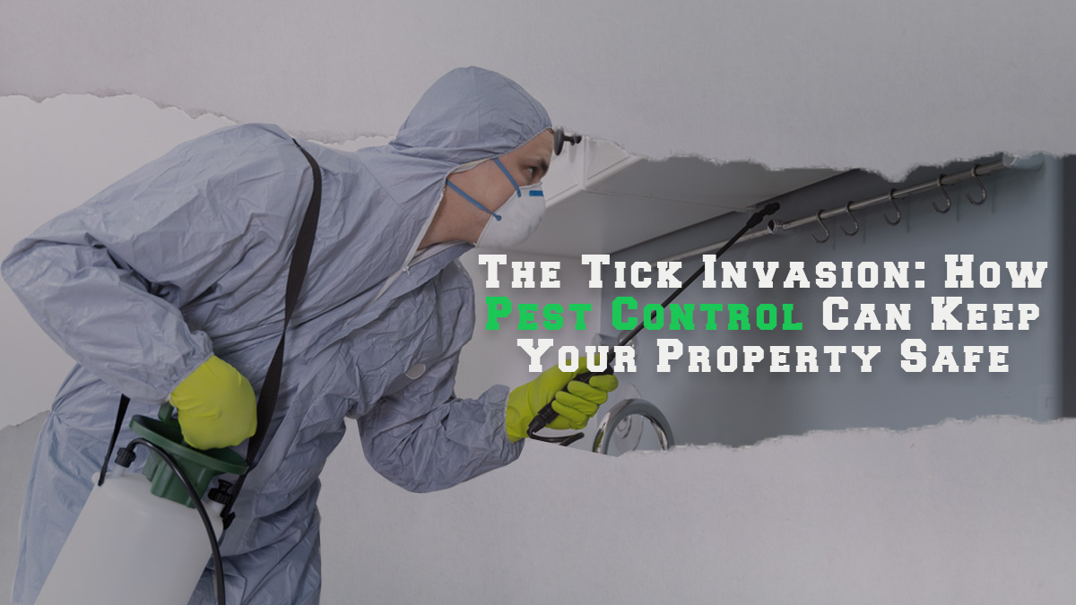 The Tick Invasion- How Pest Control Can Keep Your Property Safe