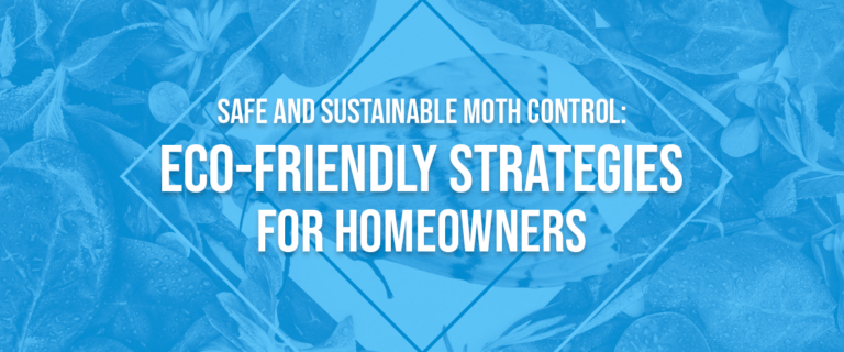Safe and Sustainable Moth Control: Eco-Friendly Strategies for Homeowners