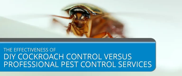 The Effectiveness of DIY Cockroach Control versus Professional Pest Control Services