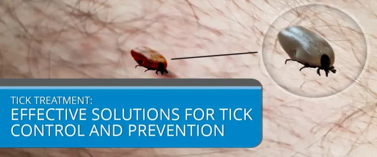 Tick Treatment: Effective Solutions for Tick Control and Prevention