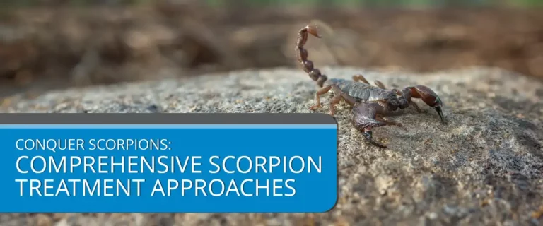 Conquer Scorpions: Comprehensive Scorpion Treatment Approaches