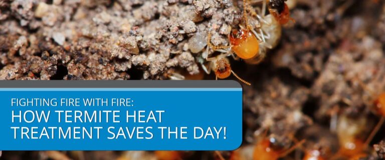 Fighting Fire with Fire: How Termite Heat Treatment Saves the Day!