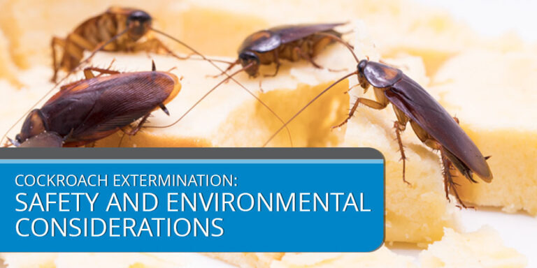 Cockroach Extermination: Safety and Environmental Considerations